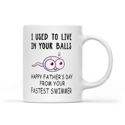 I Used To Live In Your Balls Coffee Mug Gifts 11oz