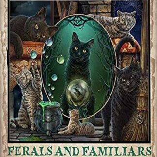 8"x12" Mystical Cats Salem Sanctuary for Wayward Cats Wall Retro Tin Sign