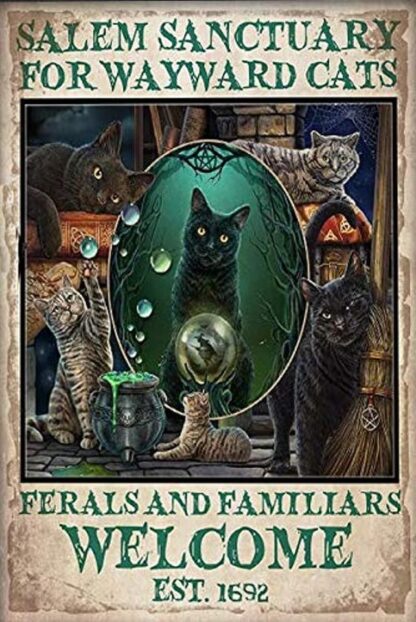 8"x12" Mystical Cats Salem Sanctuary for Wayward Cats Wall Retro Tin Sign