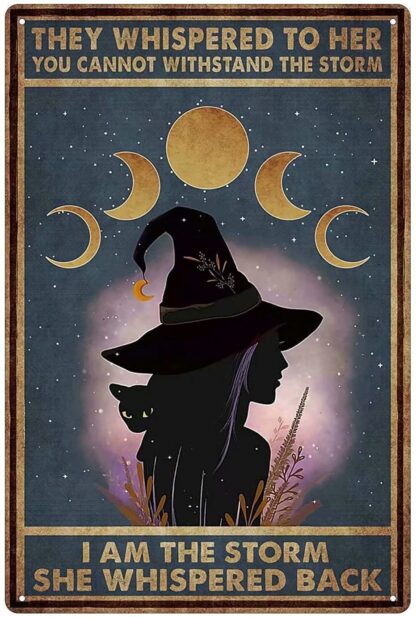 8"x12" Aluminum Tin Sign Black Cat and Witch