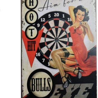 8"x12" Aim for a Bull's Eye, Sexy Girl Retro Vintage Tin Metal Sign