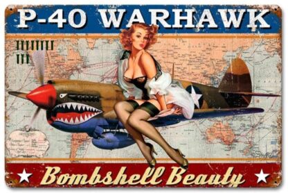 8"x12" P-40 Warhawk Pin Up Girl Tin Sign