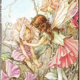 8"x12" Metal Tin Retro Sign Sweet Pea Fairies