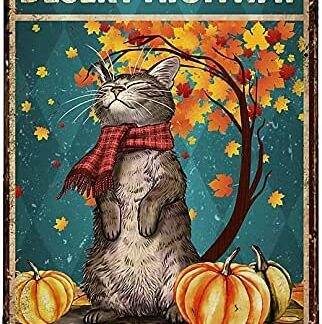 8″x12″ Metal Aluminum Sign - Cat Fall On A Dark Desert Highway Cool Wind My Hair