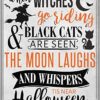 8″x12″ Metal Aluminum Sign - When Witches Go Riding