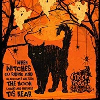 8″x12″ Metal Aluminum Sign - When Witches Go Riding and Black Cats are Seen Halloween
