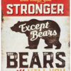8″x12″ Metal Aluminum Sign - What Doesn't Kill You Makes You Stronger Except Bears Will Kill
