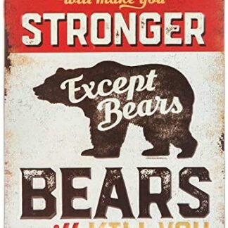 8″x12″ Metal Aluminum Sign - What Doesn't Kill You Makes You Stronger Except Bears Will Kill