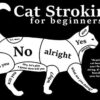 8″x12″ Metal Aluminum Sign - Cat Stroking for Beginners