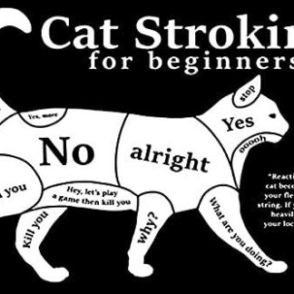 8″x12″ Metal Aluminum Sign - Cat Stroking for Beginners