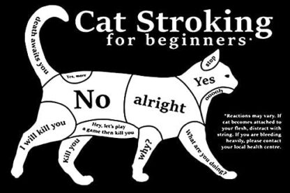 8″x12″ Metal Aluminum Sign - Cat Stroking for Beginners