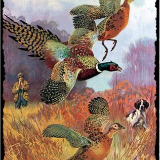 8″x12″ Metal Aluminum Sign - Winchester Firearm Hunting Hunter